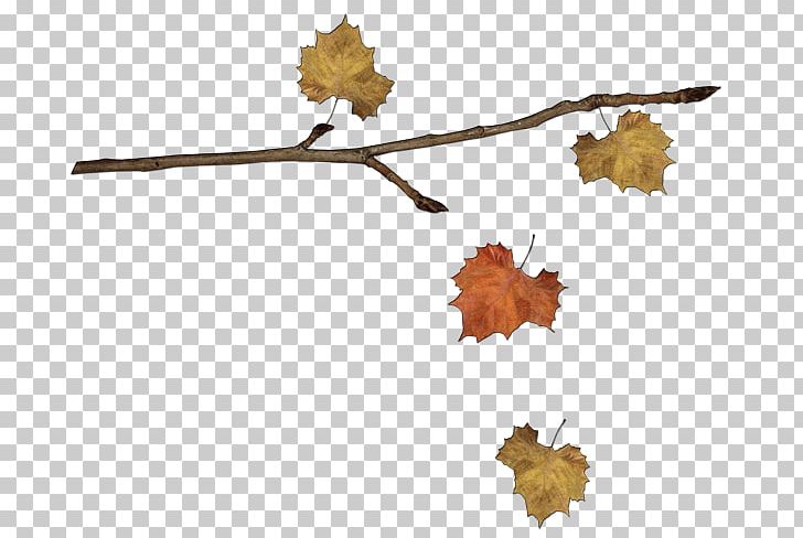 Leaf Autumn PNG, Clipart, Autumn, Branch, Collage, Leaf, Lip Free PNG Download