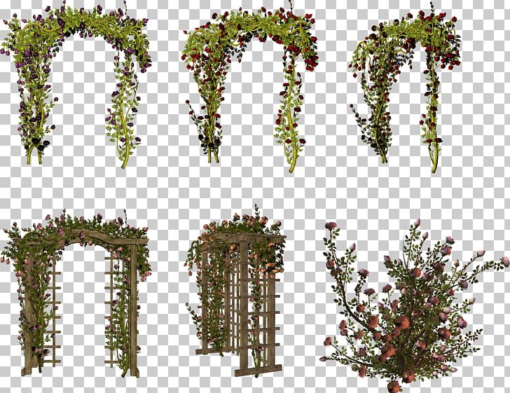 Arch Photography PNG, Clipart, Arch, Biome, Branch, Conifer, Digital Image Free PNG Download