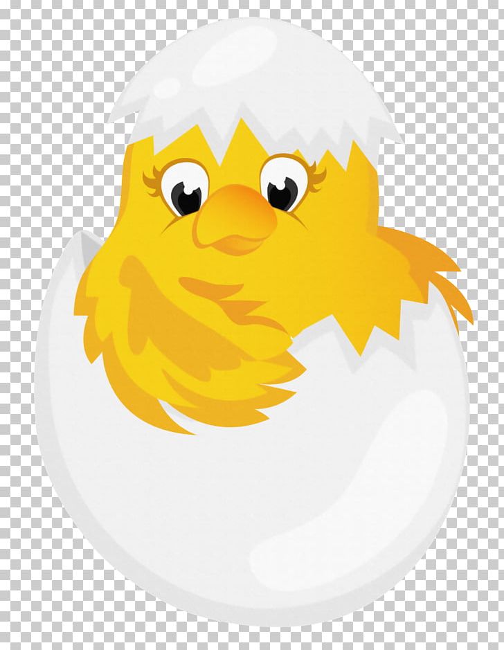 Chicken Cartoon PNG, Clipart, Art, Beak, Bird, Chick, Chicken Egg Free PNG Download