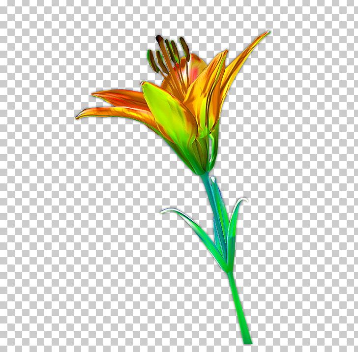 Flower Petal Computer File PNG, Clipart, Animation, Calla Lily, Cut Flowers, Decoration, Download Free PNG Download