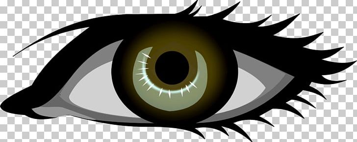 Human Eye PNG, Clipart, Computer Icons, Eye, Eye Color, Fictional Character, Free Content Free PNG Download