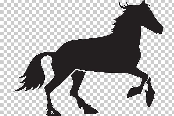 Horse Graphics Drawing PNG, Clipart, Animal, Black And White, Bridle, Colt, Draft Horse Free PNG Download