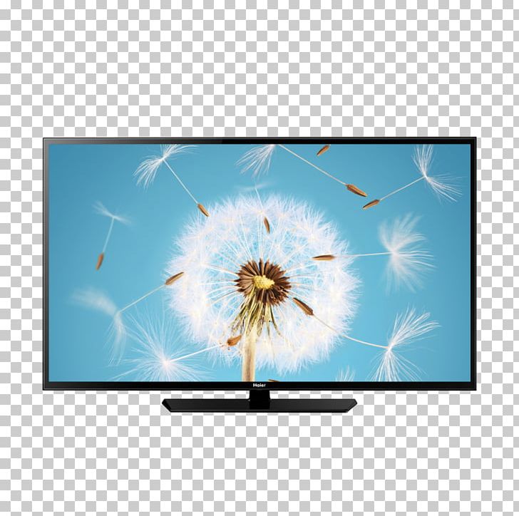 Haier LED-backlit LCD SAMSUNG LED TV 4 K BLACK 43 Sony KDL43W807CSU Full HD 1080p Freeview HD Android Smart LED 3D TV Artikel PNG, Clipart, Artikel, Computer Monitor, Computer Wallpaper, Dandelion, Display Device Free PNG Download