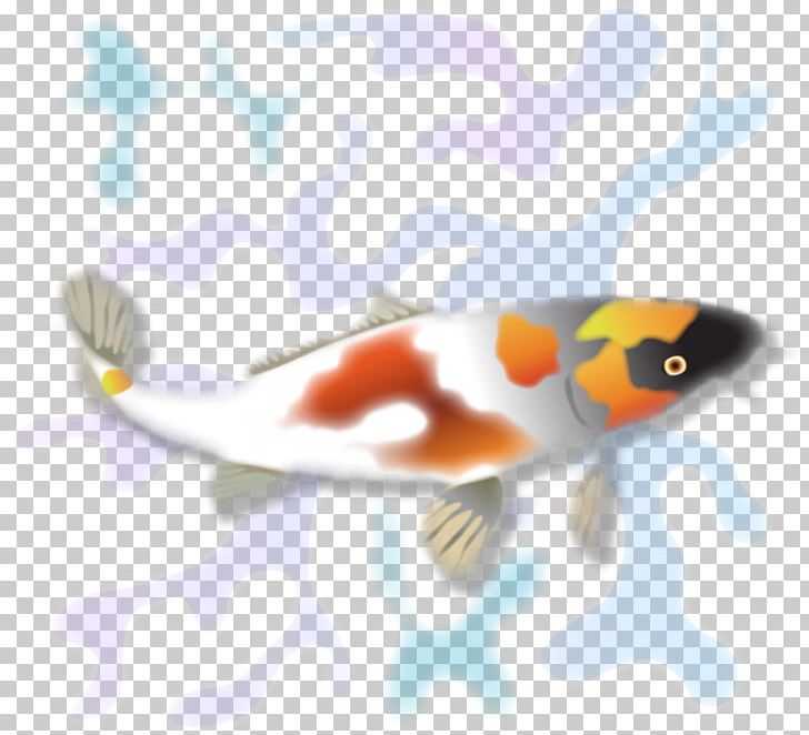 Koi Fauna Marine Biology Fish PNG, Clipart, Biology, Fauna, Fin, Fish, Koi Free PNG Download