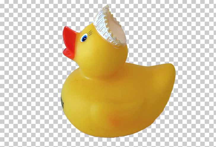 Rubber Duck Yellow Natural Rubber Toy PNG, Clipart, Animals, Bath Duck, Beak, Bird, Duck Free PNG Download