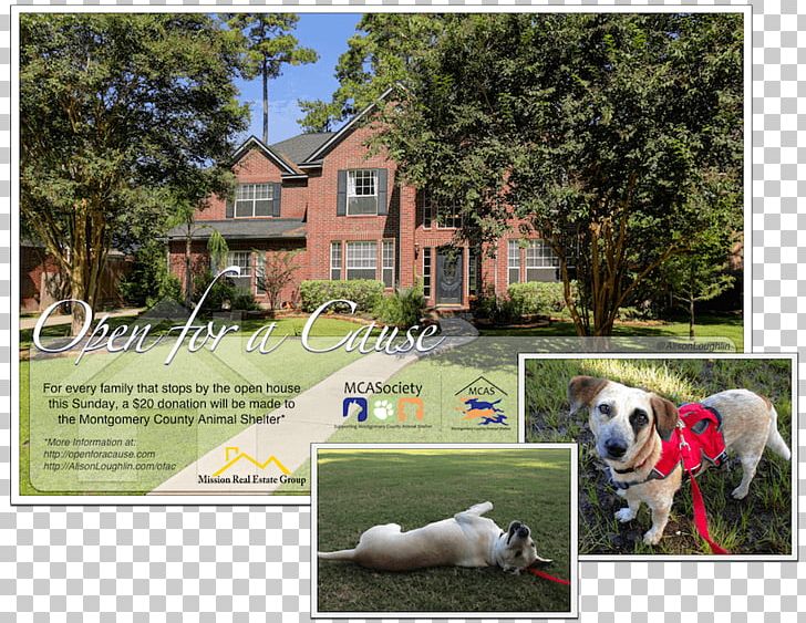 Dog Breed Backyard Property Advertising PNG, Clipart, Advertising, Animals, Backyard, Breed, Dog Free PNG Download