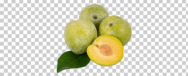 Emerald Lime PNG, Clipart, Adobe Illustrator, American, Citrus, Diet Food, Download Free PNG Download