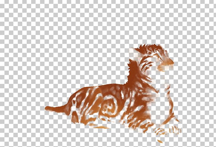 Felidae Lion Cat Tiger Cheetah PNG, Clipart, Animal, Animals, Big Cat, Big Cats, Carnivora Free PNG Download
