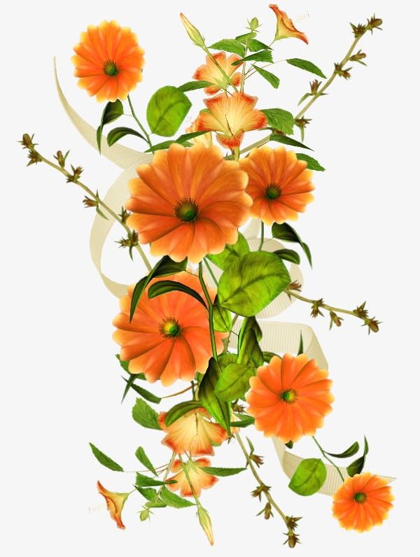 Flowers Flowers Flowers Background Material PNG, Clipart, Beautiful, Beautiful Flower Picture, Beautiful Flowers Photos, Decoration, Drawing Free PNG Download