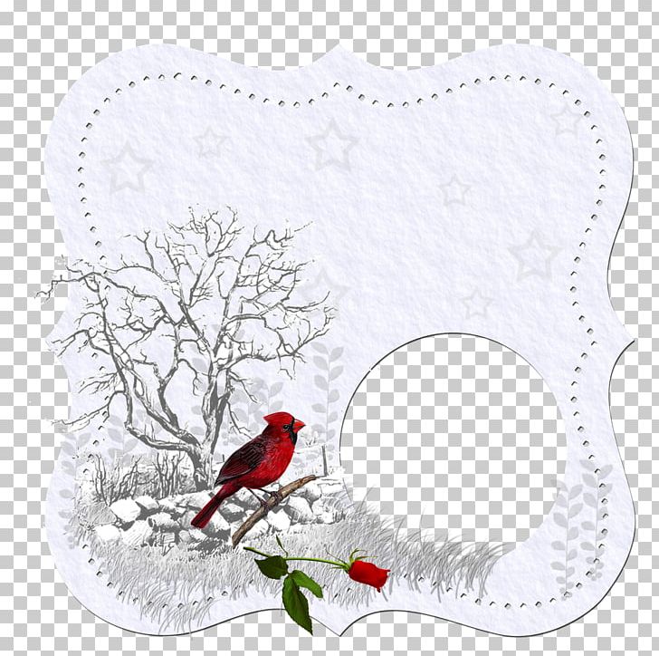Beak Bird Frames Northern Cardinal PNG, Clipart, Animals, Beak, Bird, Branch, Cardinal Free PNG Download