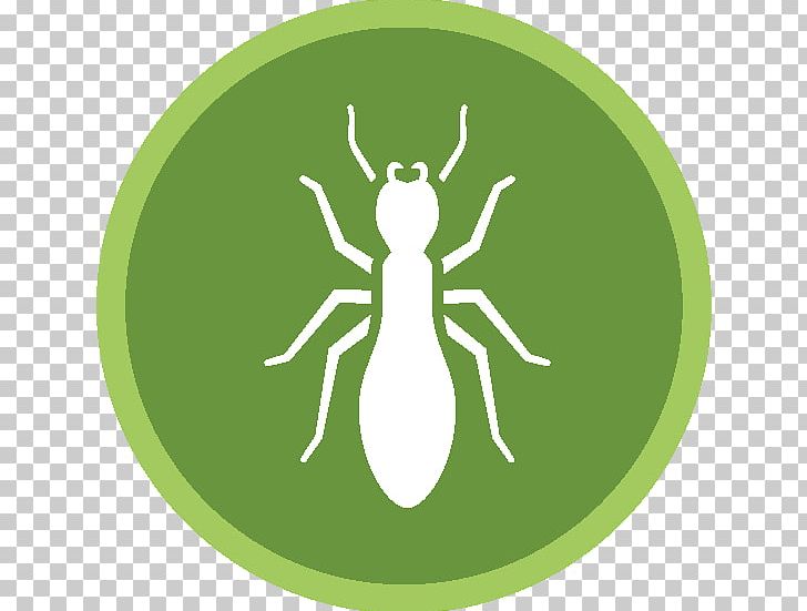 Cockroach Pest Control Exterminator Termite PNG, Clipart, Animals, Bed Bug, Bird Control, Circle, Cockroach Free PNG Download
