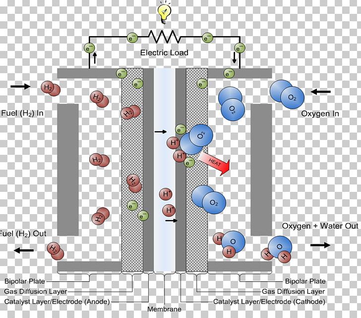 Fuel Cells Proton-exchange Membrane Fuel Cell Hydrogen Fuel PNG, Clipart, Anode, Diagram, Electricity, Electrolyte, Energy Free PNG Download