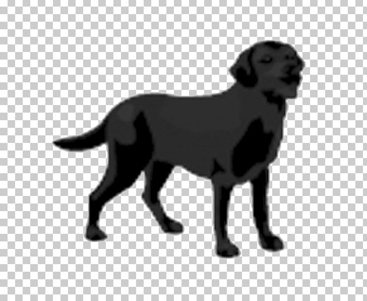 Labrador Retriever Flat-Coated Retriever Puppy Service Dog PNG, Clipart, Animal, Animals, Black Dog, Canidae, Carnivoran Free PNG Download