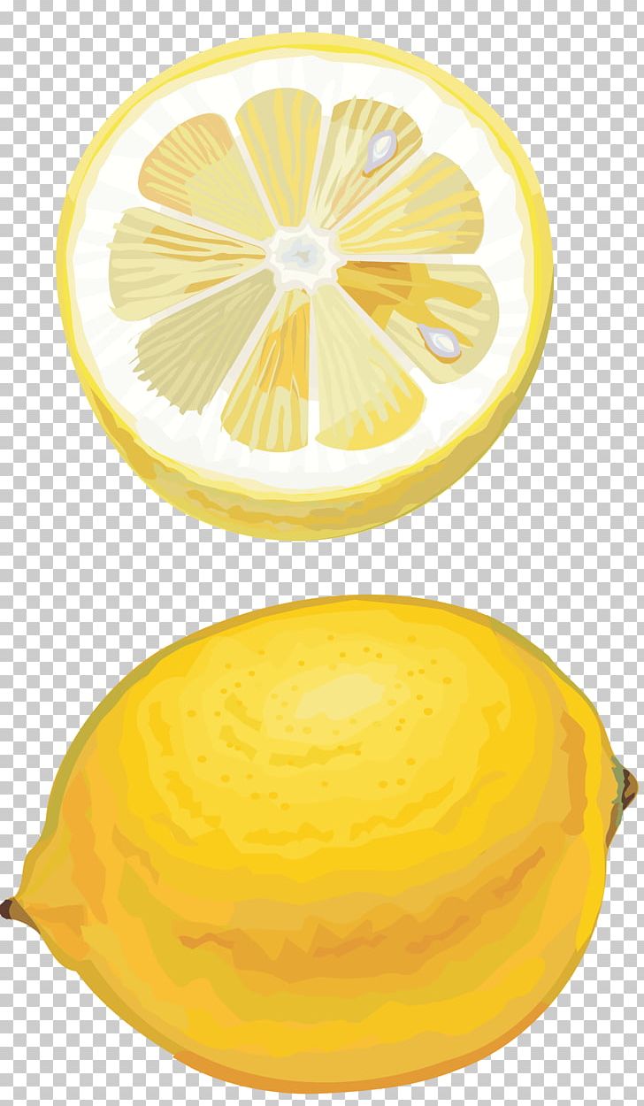 Lemon Citron Orange Citric Acid Lime PNG, Clipart, Auglis, Circle, Citric Acid, Citron, Citrus Free PNG Download
