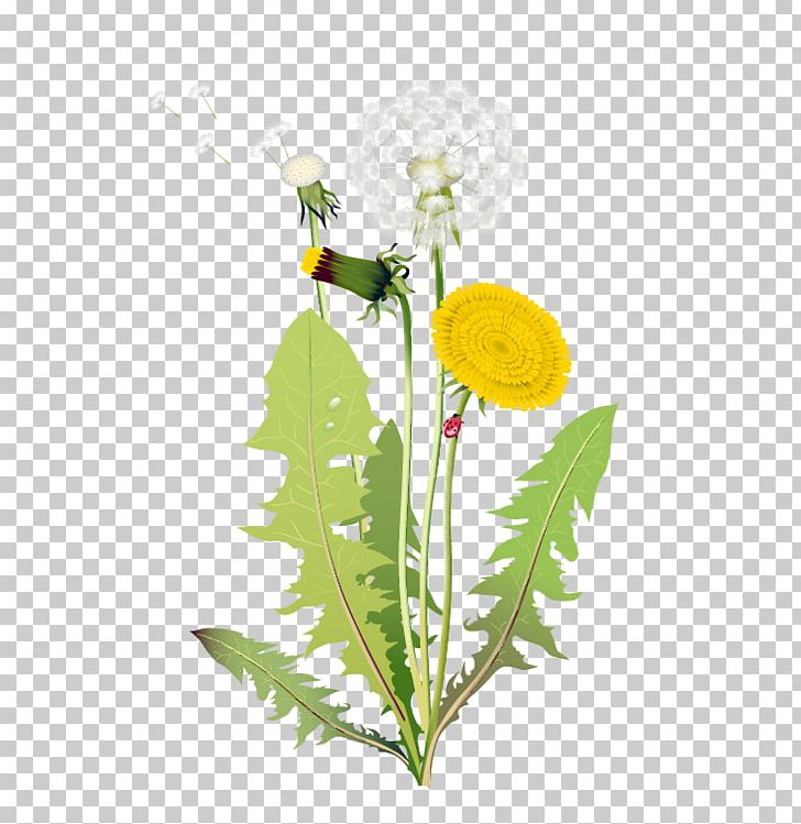 Flower Euclidean PNG, Clipart, Black Dandelion, Branch, Cut Flowers, Dandelion, Dandelion Flower Free PNG Download