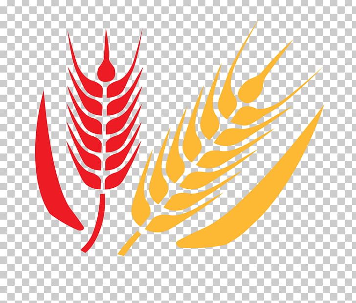 Leaf India Agricultural Manager Commodity PNG, Clipart, Cakes And Pastries, Commodity, Feather, India, Indian People Free PNG Download