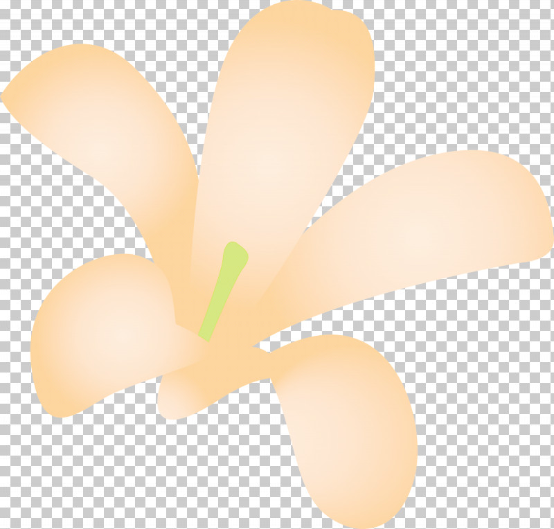 Jasmine Jasmine Flower PNG, Clipart, Closeup, Jasmine, Jasmine Flower, Lighting Free PNG Download