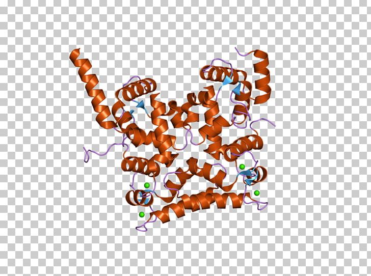 Calcineurin B Homologous Protein 1 Gene Calcium PNG, Clipart, 2 Ct, Animal, Art, Brand, Calcineurin Free PNG Download