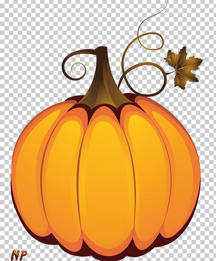 Jack-o'-lantern Calabaza Winter Squash Pumpkin Halloween PNG, Clipart,  Free PNG Download
