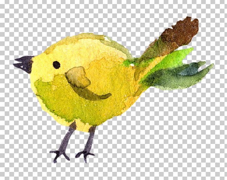 Watercolor Painting PNG, Clipart, Adobe Illustrator, Animals, Beak, Bird, Cartoon Free PNG Download