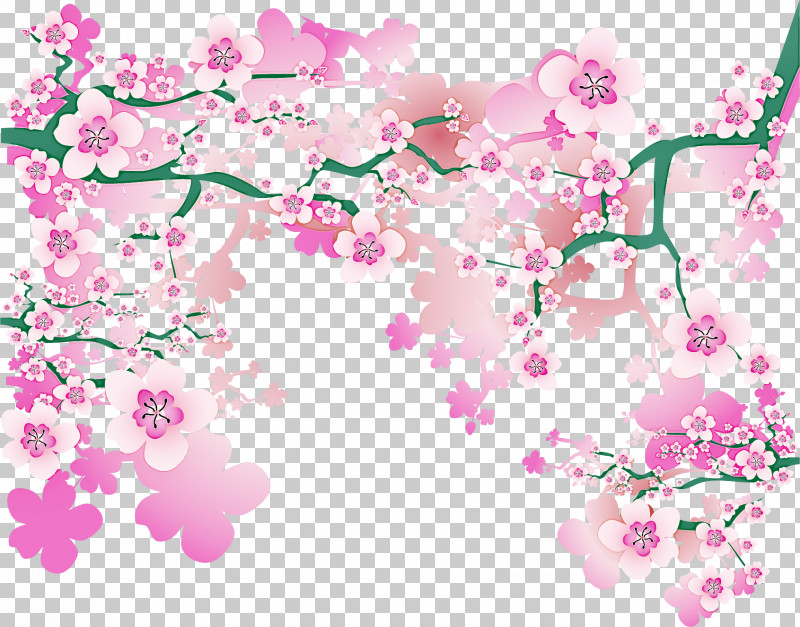 Cherry Blossom PNG, Clipart, Biology, Cherry, Cherry Blossom, Computer, Floral Design Free PNG Download