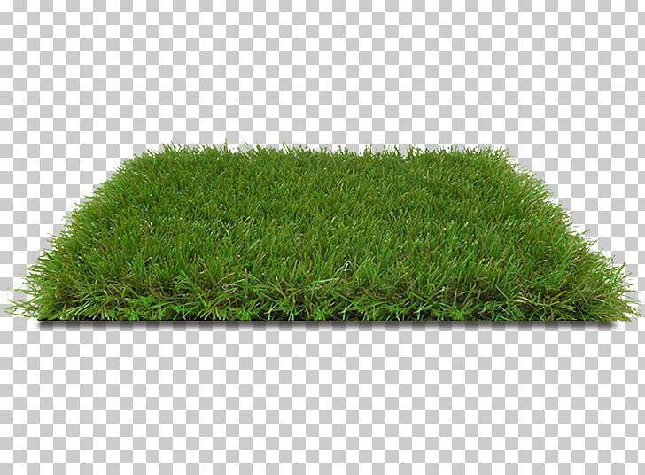 Artificial Turf Lawn Grass Garden Fiber PNG, Clipart, Artificial Turf, Balcony, English Landscape Garden, Fiber, Garden Free PNG Download