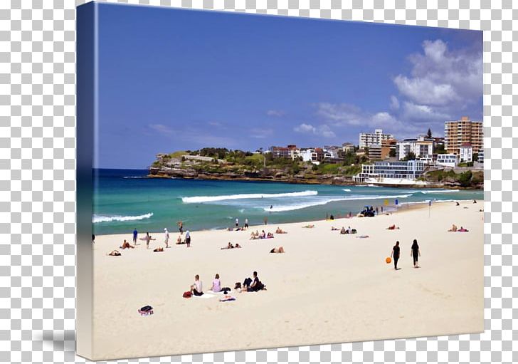 Beach Shore Coast Vacation Tourism PNG, Clipart, Beach, Bondi Beach, Coast, Coastal And Oceanic Landforms, Sand Free PNG Download