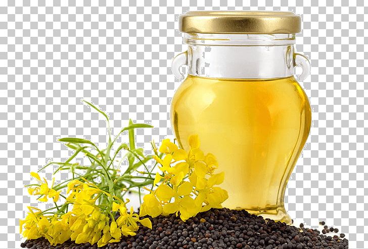 Canola Colza Oil Sunflower Oil Olive Oil PNG, Clipart, Bottle, Canola, Colza Oil, Dandelion Coffee, Expeller Pressing Free PNG Download