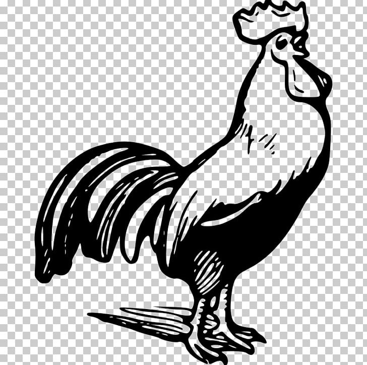 Chicken Rooster Black And White PNG, Clipart, Art, Beak, Bird, Black, Chicken Free PNG Download