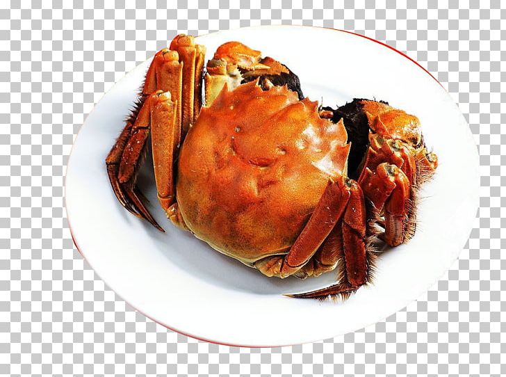 Chinese Mitten Crab Yangcheng Lake Gucheng Lake Giant Mud Crab PNG, Clipart, Animals, Animal Source Foods, Aquaculture, Autumn, Banquet Free PNG Download