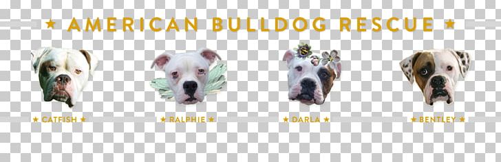 Dog Breed Shoe PNG, Clipart, American Bulldog, Brand, Breed, Dog, Dog Breed Free PNG Download
