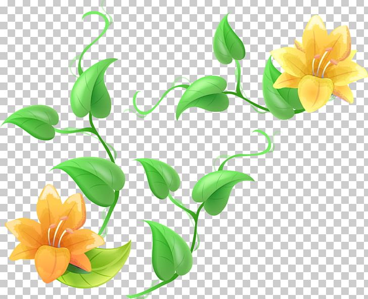 Lilium Flower PNG, Clipart, Adobe Illustrator, Branch, Computer Icons, Computer Software, Cut Flowers Free PNG Download