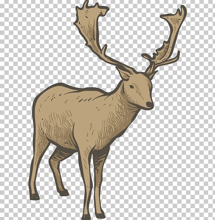 Reindeer Elk Red Deer PNG, Clipart, Animals, Antler, Cartoon Eyes, Christmas Deer, Christmas Frame Free PNG Download