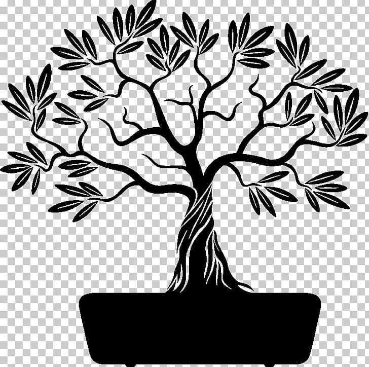 Branch Drawing PNG, Clipart, Artwork, Black And White, Branch, Clip Art, Drawing Free PNG Download