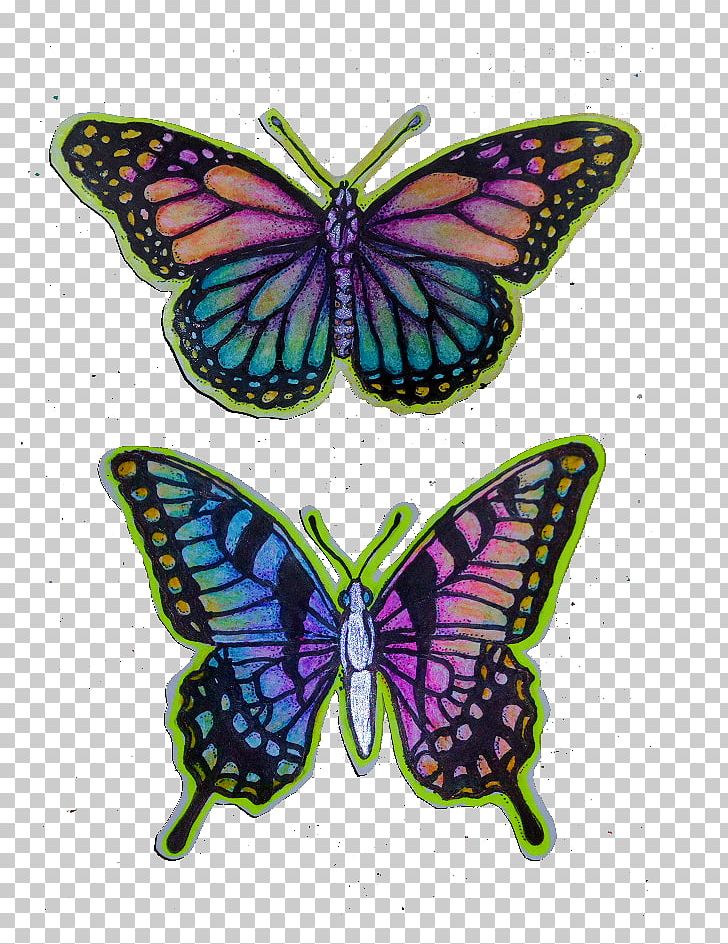 Butterfly Bumper Sticker Wall Decal PNG, Clipart, Arthropod, Brush Footed Butterfly, Bumper Sticker, Butterflies And Moths, Butterfly Free PNG Download