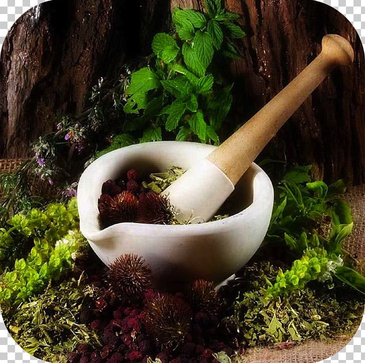 Herbalism Medicine Naturopathy Mortar And Pestle PNG, Clipart, Alternative Health Services, Alternative Medicine, Apothecary, Ayurveda, Food Free PNG Download