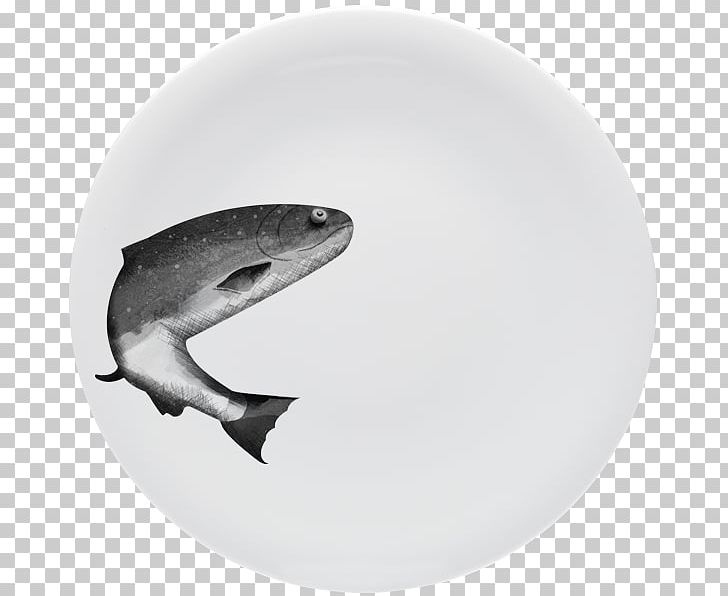 Shark Fauna Tableware PNG, Clipart, Animals, Cartilaginous Fish, Fauna, Fish, Forelle Free PNG Download