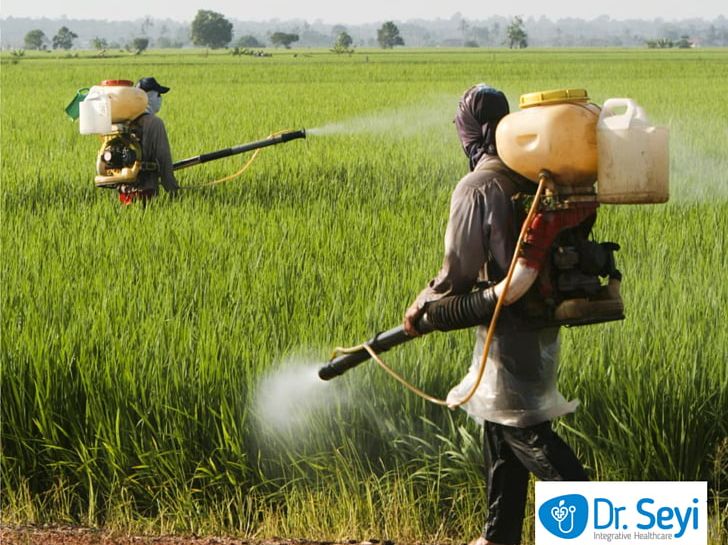 Herbicide Insecticide Fertilisers Water Pollution PNG, Clipart, Agriculture, Biopesticide, Commodity, Crop, Farm Free PNG Download
