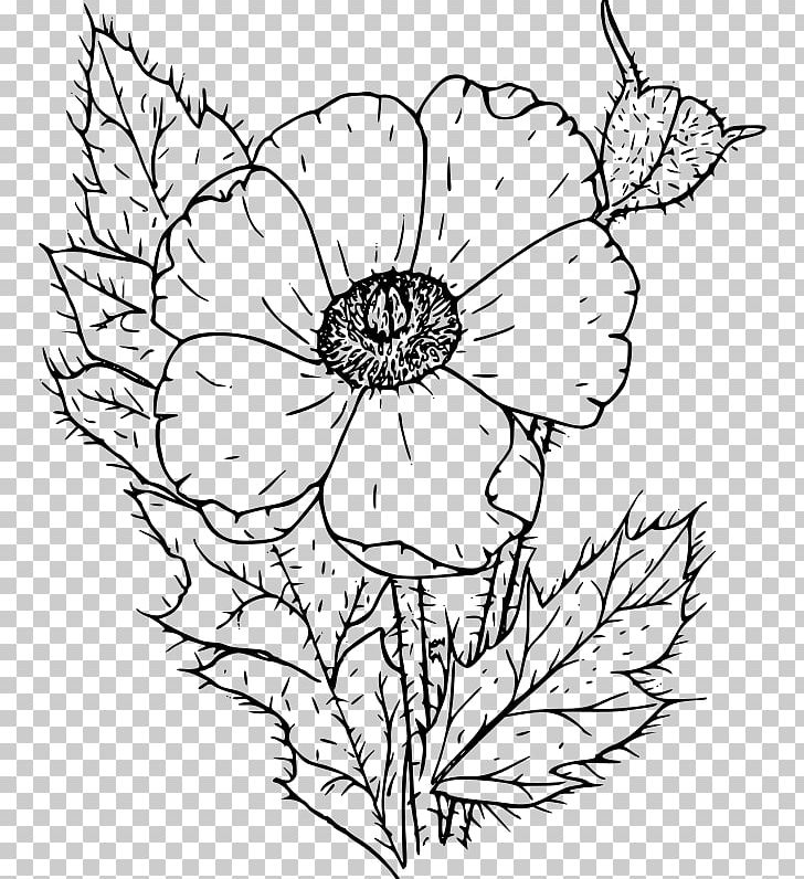 Poppy Coloring Book Drawing PNG, Clipart, Artwork, Clip Art, Color, Common Poppy, Design Free PNG Download