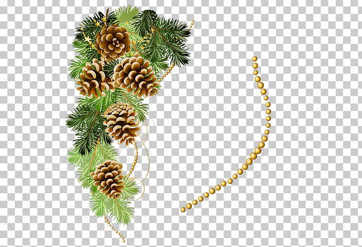 christmas pine cone drawing