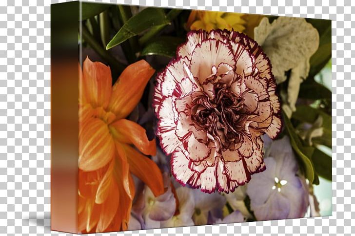 Petal Flora Floristry PNG, Clipart, Flora, Floristry, Flower, Petal, Plant Free PNG Download