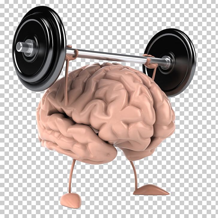 Cognitive Training Brain Neurofeedback Physical Exercise PNG, Clipart, Biofeedback, Brain, Brain Mapping, Cognition, Cognitive Training Free PNG Download