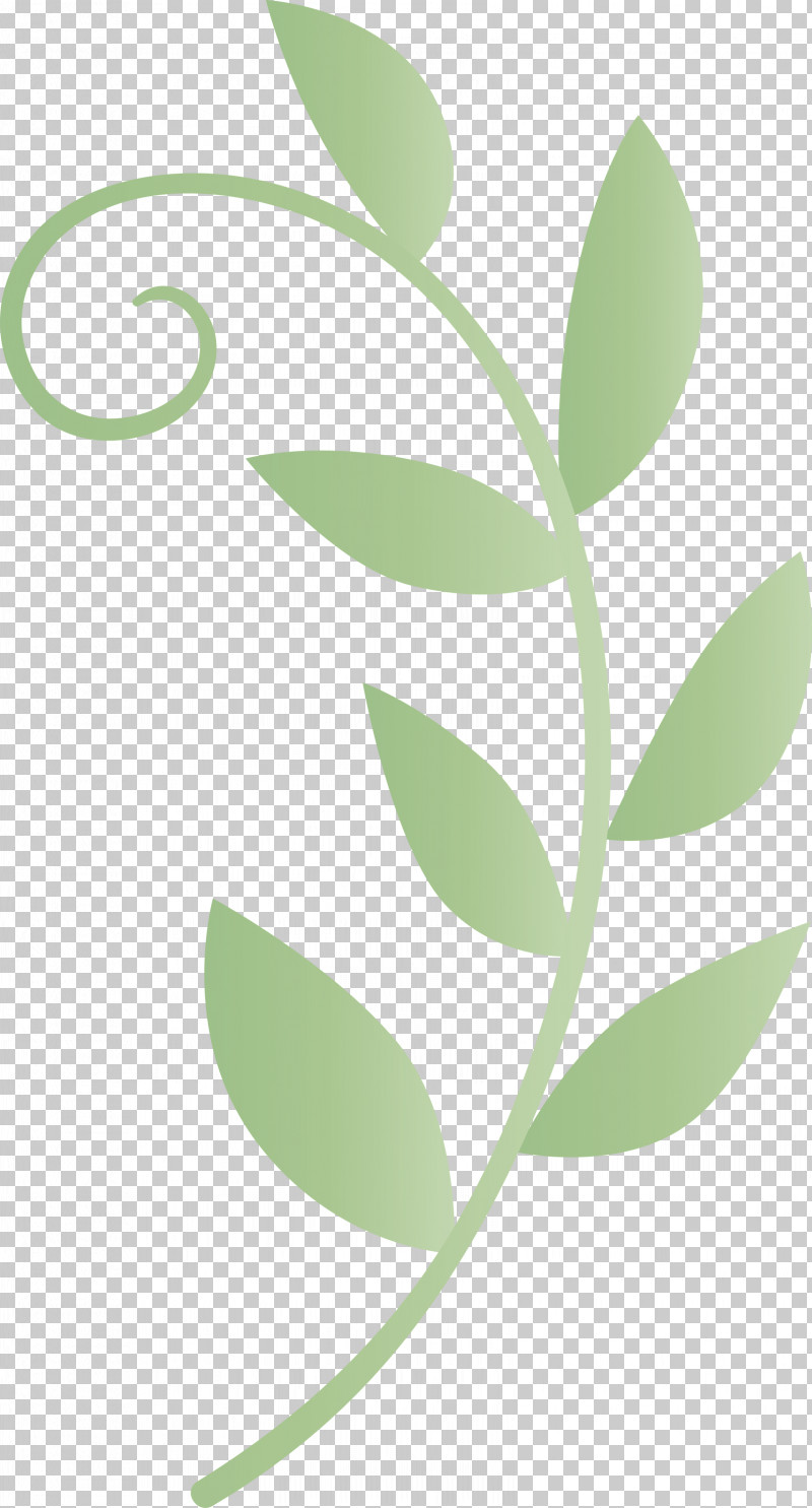 Mexico Elements PNG, Clipart, Biology, Green, Leaf, Meter, Mexico Elements Free PNG Download