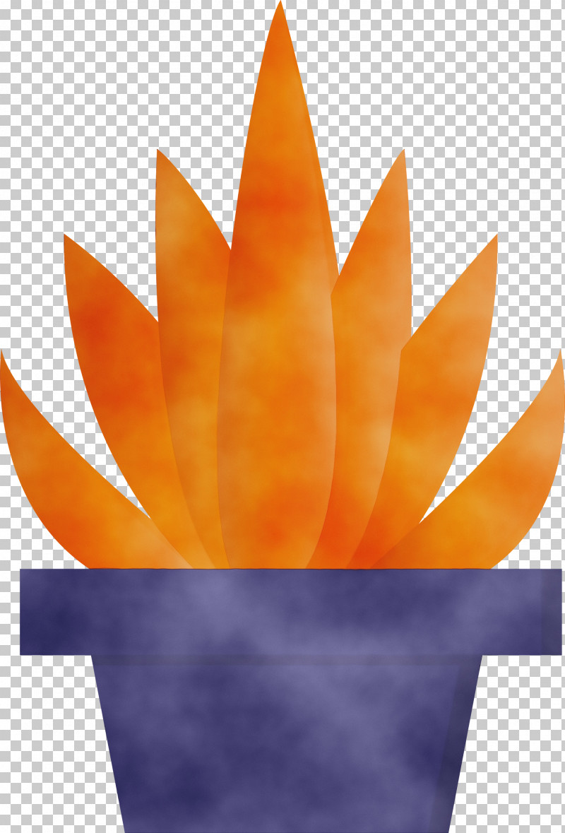 Orange PNG, Clipart, Fire, Flame, Flower, Orange, Paint Free PNG Download
