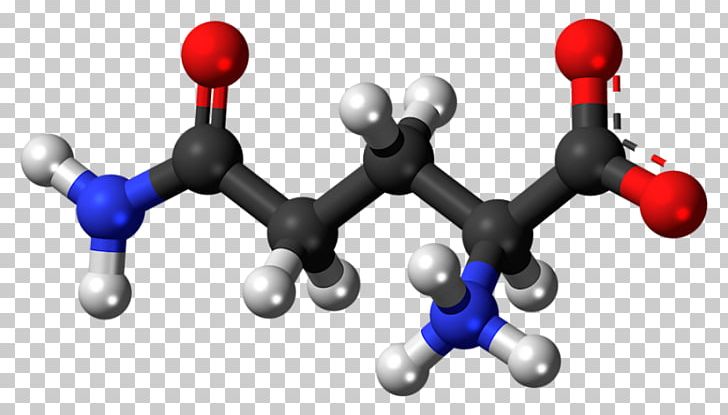 Dietary Supplement Glutamine Synthetase Amino Acid Glutamic Acid PNG, Clipart, Acid, Amino Acid, Arginine, Bodybuilding Supplement, Citrulline Free PNG Download