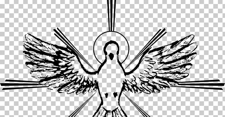 Holy Spirit Spiritual Gift Saint Catechism Of The Catholic Church PNG, Clipart, Artwork, Beak, Bird, Black And White, Catechism Of The Catholic Church Free PNG Download