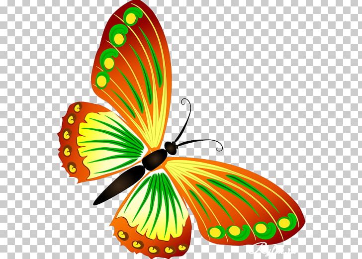 Butterfly Insect Biology PNG, Clipart, Biology, Brush Footed Butterfly, Butterflies And Moths, Butterfly, Drawing Free PNG Download