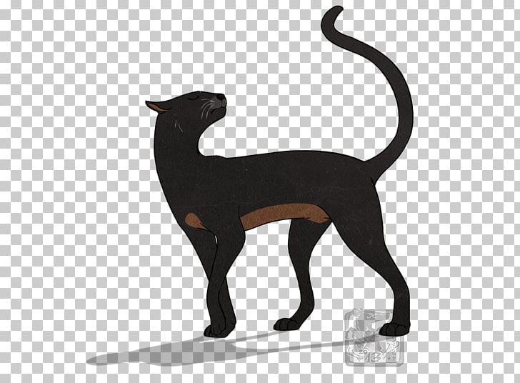 Cat Warriors Spiderleg Italian Greyhound Drawing PNG, Clipart, Animal Figure, Breed, Carnivoran, Cat, Cat Like Mammal Free PNG Download