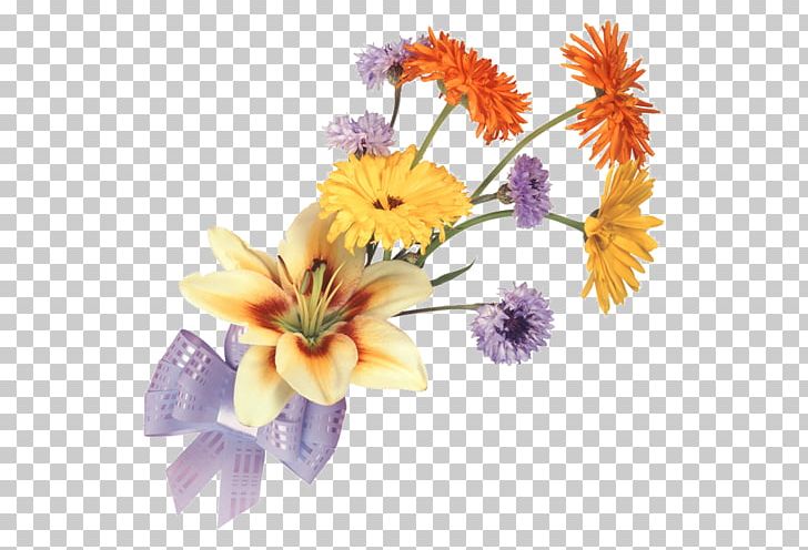 Cut Flowers Information PNG, Clipart, Artificial Flower, Blog, Chrysanths, Cut Flowers, Daisy Free PNG Download