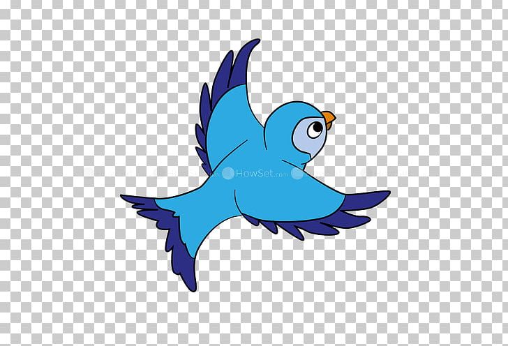 Drawing Bird PNG, Clipart, Animal, Animals, Beak, Bird, Cartoon Free PNG Download